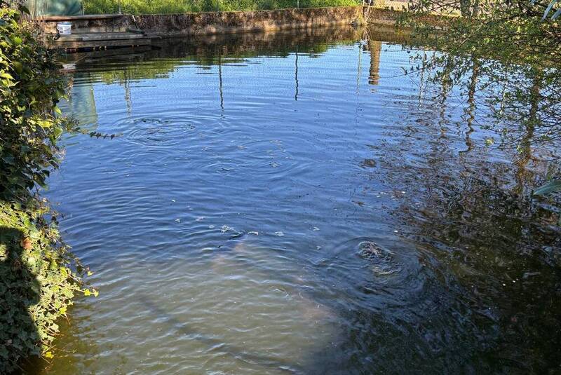 Fischbecken