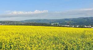 Wunderschön gelegene Hofstelle mit ca. 5,7 ha Land Wunderschön gelegene Hofstelle mit ca. 5,7 ha Land