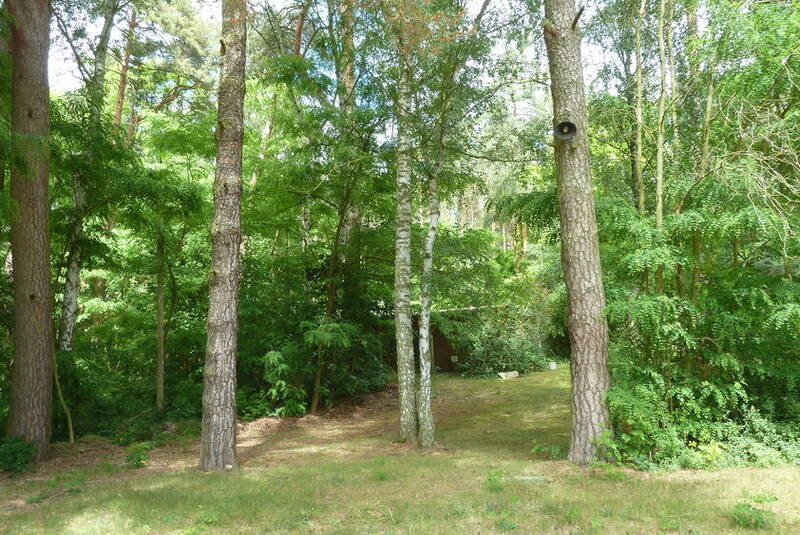 P1150366