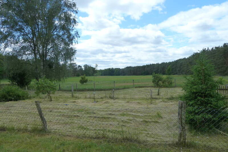 P1150385