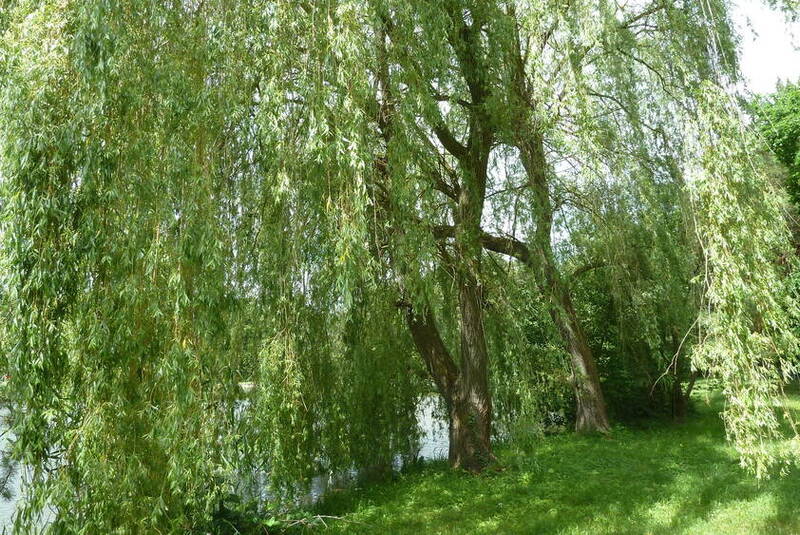 P1150402
