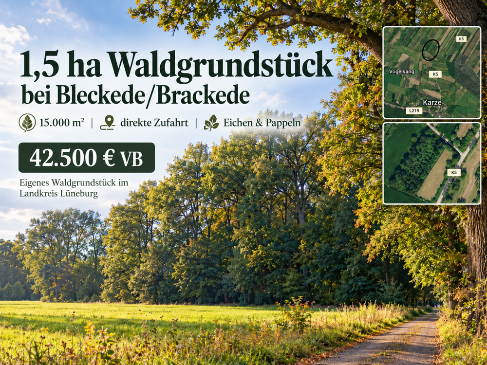 1,5 ha Wald in Niedersachsen